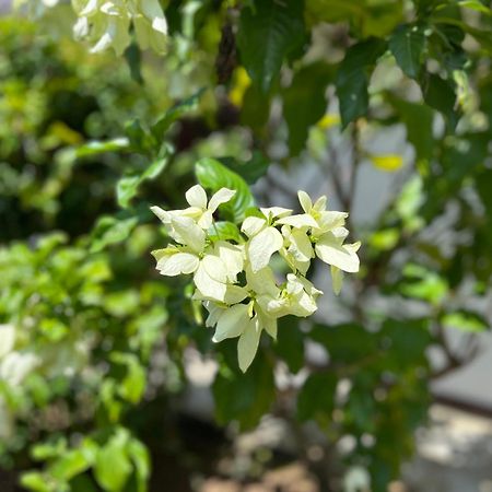 Garden Haven Hikkaduwa Villa ภายนอก รูปภาพ
